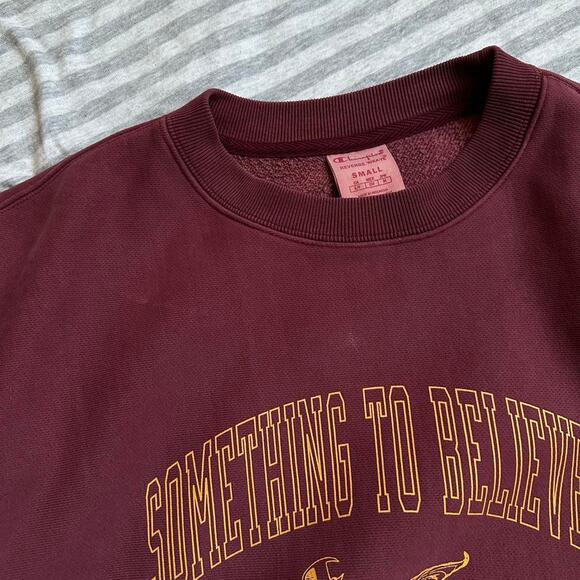 Danielle Guizio Champion Reverse Weave Crewneck Sweatshirt - Picture 6 of 7